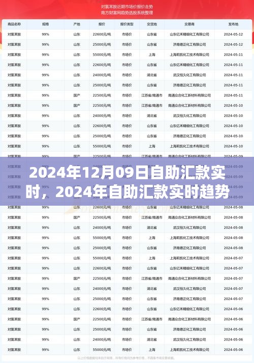 自助匯款實時趨勢下的金融革新，機遇與挑戰(zhàn)并存（2024年12月09日）