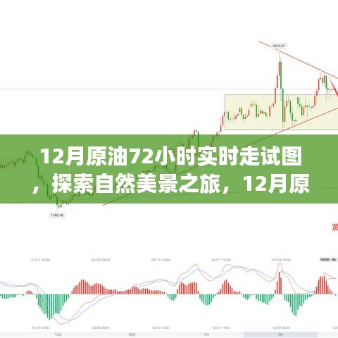 揭秘原油走勢圖背后的故事，探尋自然美景之旅的實(shí)時(shí)追蹤報(bào)告