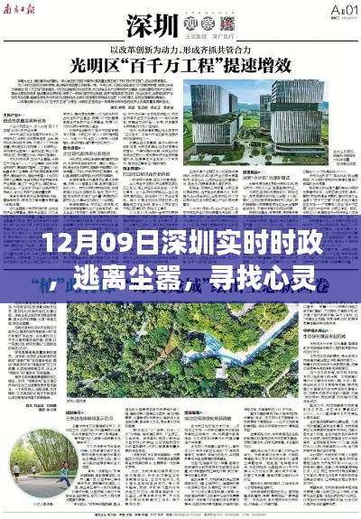 深圳自然探索之旅啟示，逃離塵囂，尋找心靈綠洲的啟示（實(shí)時(shí)時(shí)政報(bào)道）