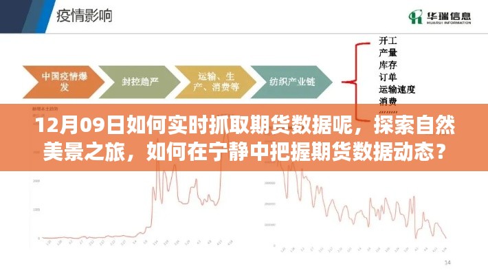 探索自然美景之旅與實時抓取期貨數(shù)據(jù)，寧靜中的動態(tài)把握策略