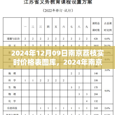 2024年南京荔枝實(shí)時(shí)價(jià)格表圖庫(kù)制作指南，從初學(xué)者到進(jìn)階用戶全攻略