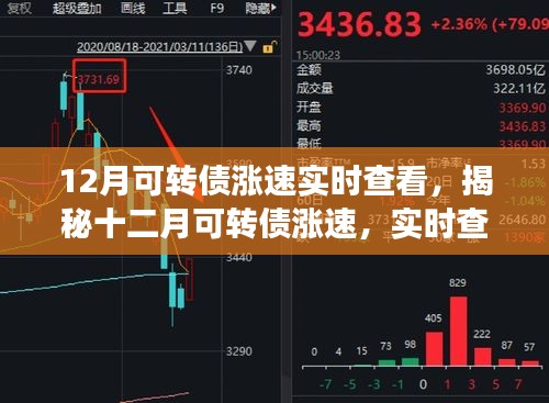 揭秘十二月可轉(zhuǎn)債漲速，實(shí)時查看與深度解讀報(bào)告