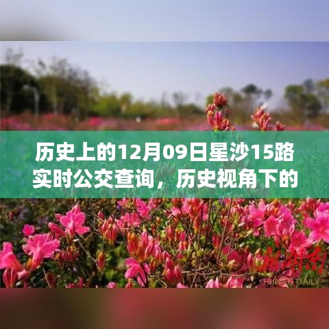 歷史視角下的星沙公交發(fā)展，星沙公交查詢系統(tǒng)深度探討與實(shí)時(shí)公交查詢服務(wù)解析（附，歷史上的星沙公交變遷）