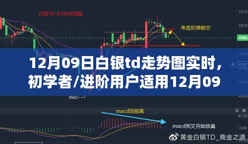 12月09日白銀TD走勢(shì)圖實(shí)時(shí)分析指南，適合初學(xué)者與進(jìn)階用戶(hù)