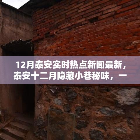 泰安十二月熱點新聞與隱藏小巷的特色美食探索，一家特色小店的驚喜之旅