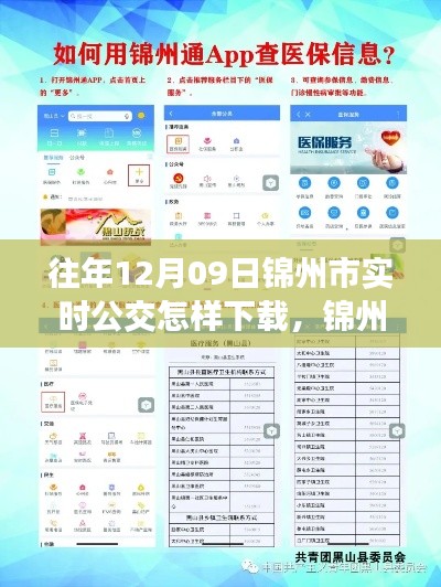 錦州市實時公交查詢APP下載指南，以往年12月09日為例的教程分享