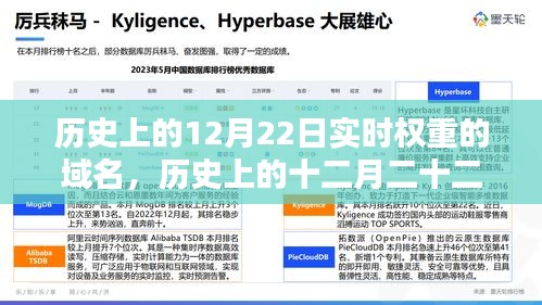 探尋實(shí)時(shí)權(quán)重域名，歷史上的十二月二十二日回顧與揭秘