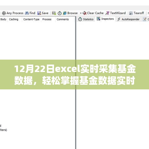 Excel基金數(shù)據(jù)實時采集進階，掌握實時動態(tài)，輕松管理投資組合（12月22日）