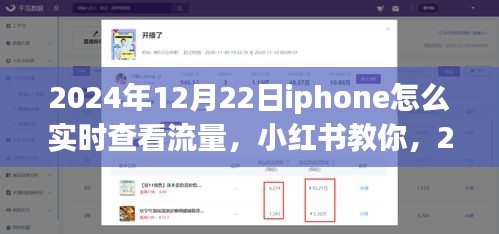 2024年12月22日iPhone實時查看流量教程，小紅書教你如何輕松監(jiān)控流量消耗