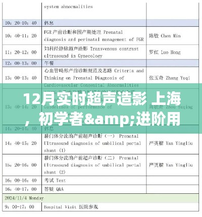 12月上海實(shí)時(shí)超聲造影操作全攻略，從初學(xué)者到進(jìn)階用戶的必備指南