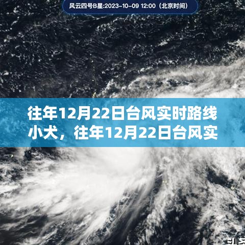 揭秘往年12月22日小犬臺(tái)風(fēng)實(shí)時(shí)路徑與深度分析