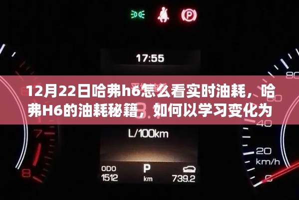 哈弗H6實時油耗秘籍，學(xué)習(xí)變化為燃料，駛向自信彼岸的指南