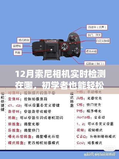 初學者也能輕松掌握！12月索尼相機實時檢測功能使用指南