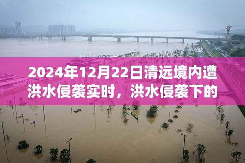 洪水侵襲下的清遠(yuǎn)秘境，美食奇遇與實時報道