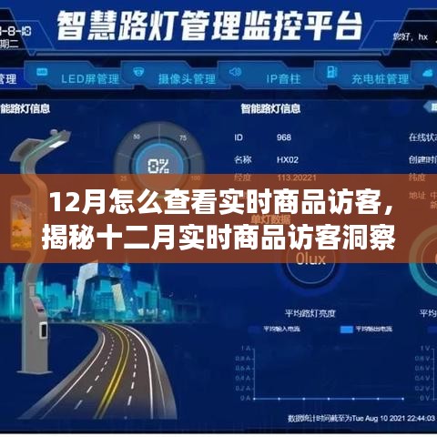 揭秘十二月實時商品訪客洞察，洞悉訪客動態(tài)與商業(yè)進(jìn)展的秘訣