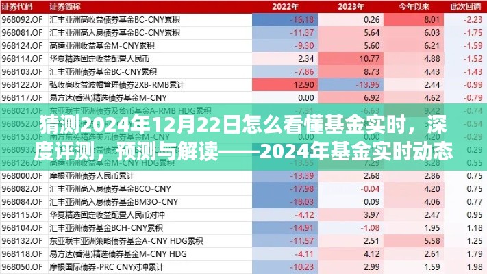 揭秘2024年基金實(shí)時(shí)動態(tài)洞察系統(tǒng)，深度評測、預(yù)測與解讀的未來趨勢