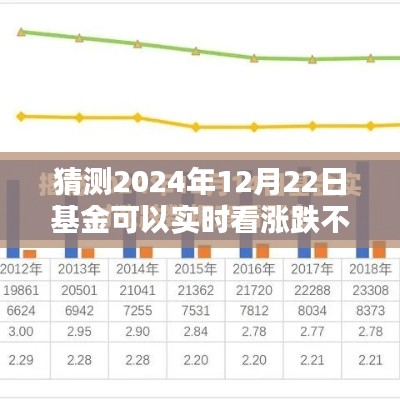 2024年12月22日基金實(shí)時(shí)漲跌預(yù)測攻略，掌握未來走勢，初學(xué)者與進(jìn)階用戶必讀