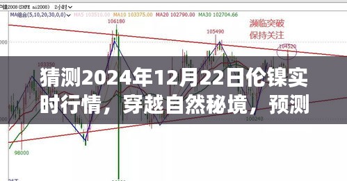 倫鎳行情預(yù)測(cè)與心靈之旅，穿越自然秘境，探索2024年倫鎳實(shí)時(shí)行情的奇妙交織