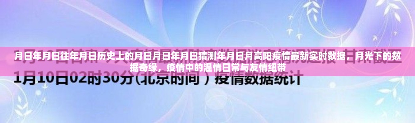 月高陽疫情最新實時數(shù)據(jù)與月光下的數(shù)據(jù)奇緣，歷史視角下的溫情日常與友情紐帶