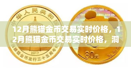 12月熊貓金幣實時交易價格，洞悉市場動態(tài)，把握投資機會