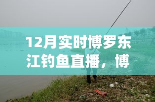 博羅東江畔的釣魚(yú)盛宴，12月實(shí)時(shí)釣魚(yú)直播開(kāi)啟！