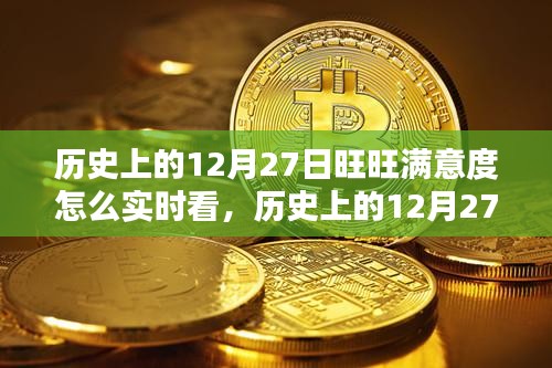 歷史上的12月27日旺旺滿意度實(shí)時(shí)查看指南，初學(xué)者與進(jìn)階用戶必看