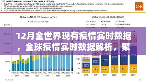 全球疫情實時數(shù)據(jù)解析，聚焦12月疫情動態(tài)與動態(tài)變化