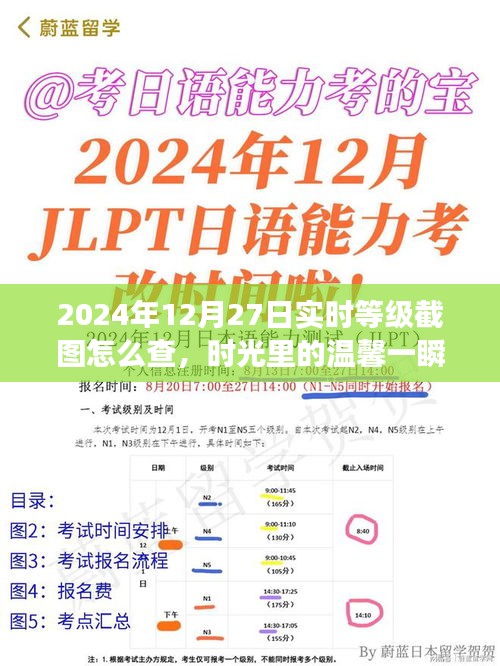 2024年12月27日等級(jí)截圖揭秘，時(shí)光溫馨一瞬，友誼見證時(shí)刻