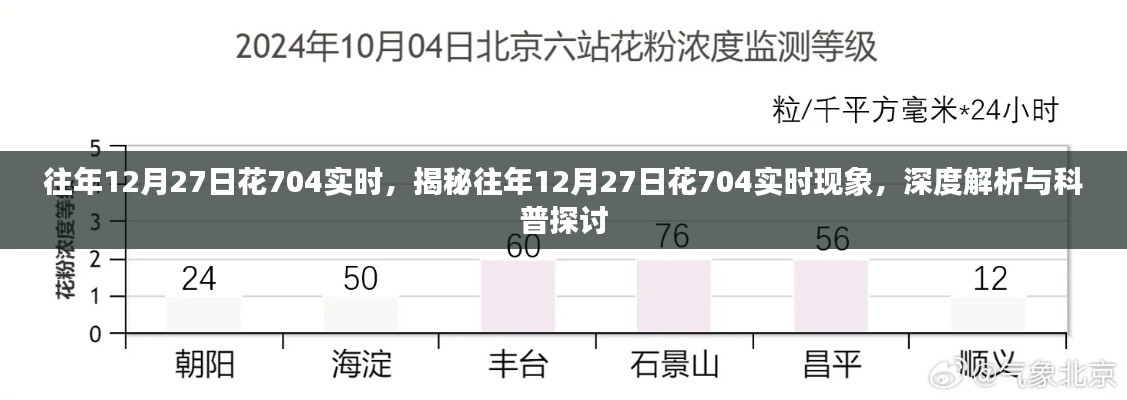 揭秘與深度解析，往年12月27日花704實(shí)時(shí)現(xiàn)象探討