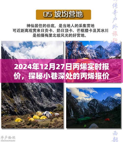 探秘丙烯報價秘境，揭秘2024年12月27日丙烯實時行情與報價深度解析