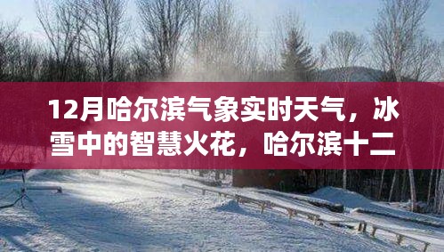 哈爾濱十二月冰雪智慧，氣象實(shí)時(shí)觀察與啟示錄