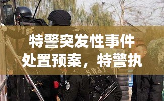 特警突發(fā)性事件處置預案，特警執(zhí)勤突發(fā)事件視頻 