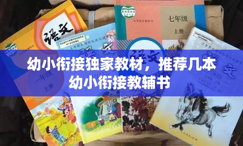 幼小銜接獨家教材，推薦幾本幼小銜接教輔書 