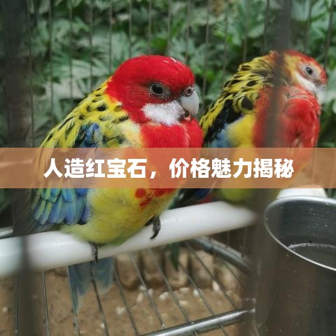 人造紅寶石，價(jià)格魅力揭秘