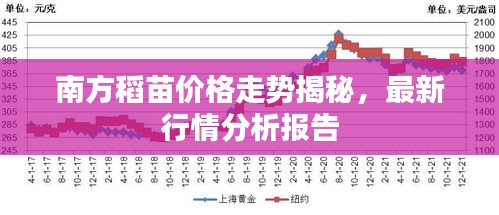 南方稻苗價(jià)格走勢(shì)揭秘，最新行情分析報(bào)告