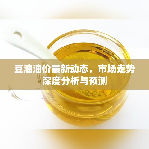 豆油油價(jià)最新動(dòng)態(tài)，市場走勢(shì)深度分析與預(yù)測