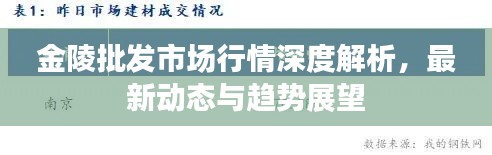 金陵批發(fā)市場(chǎng)行情深度解析，最新動(dòng)態(tài)與趨勢(shì)展望