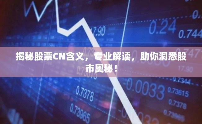 揭秘股票CN含義，專(zhuān)業(yè)解讀，助你洞悉股市奧秘！