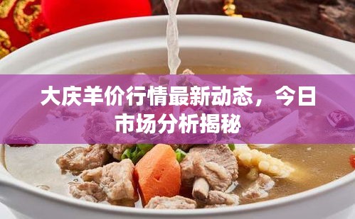 大慶羊價行情最新動態(tài)，今日市場分析揭秘