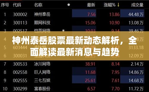 神州泰岳股票最新動(dòng)態(tài)解析，全面解讀最新消息與趨勢(shì)
