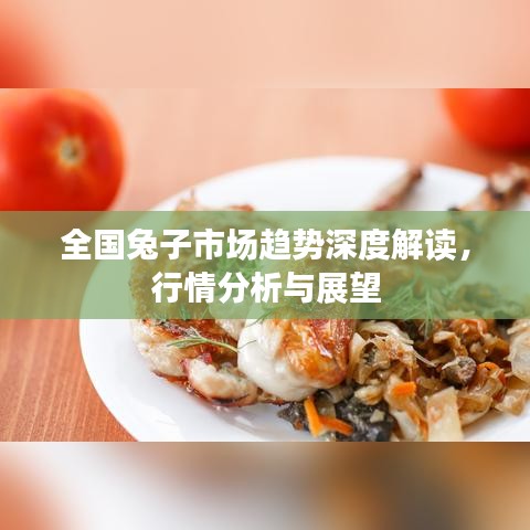 全國兔子市場趨勢深度解讀，行情分析與展望