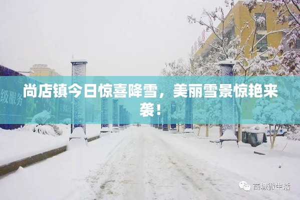 尚店鎮(zhèn)今日驚喜降雪，美麗雪景驚艷來襲！