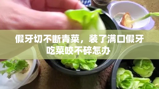 假牙切不斷青菜，裝了滿口假牙吃菜咬不碎怎辦 