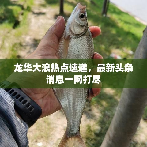 龍華大浪熱點速遞，最新頭條消息一網(wǎng)打盡