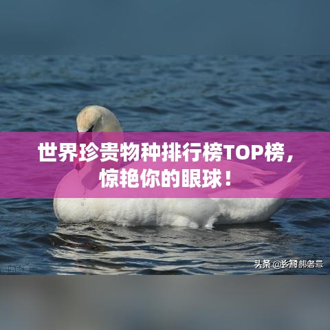 世界珍貴物種排行榜TOP榜，驚艷你的眼球！