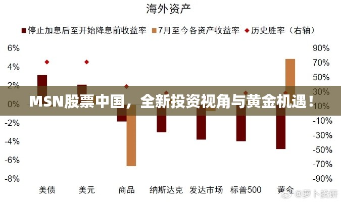 MSN股票中國(guó)，全新投資視角與黃金機(jī)遇！