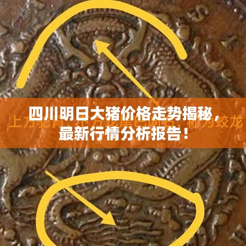 四川明日大豬價(jià)格走勢(shì)揭秘，最新行情分析報(bào)告！