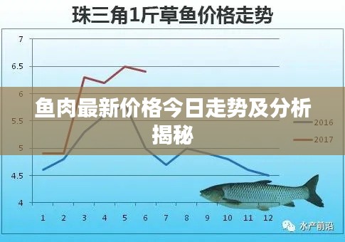 魚肉最新價格今日走勢及分析揭秘