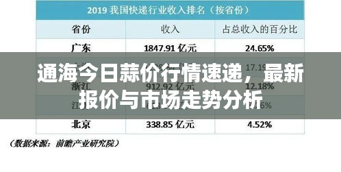 通海今日蒜價行情速遞，最新報價與市場走勢分析