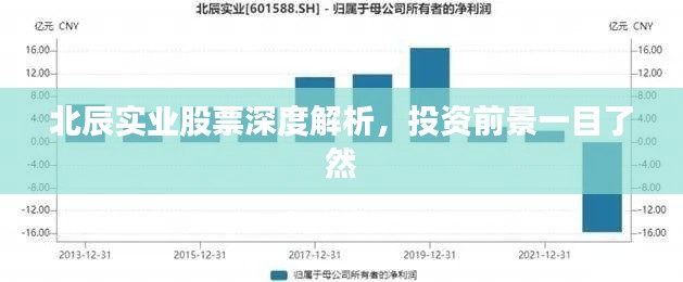 北辰實業(yè)股票深度解析，投資前景一目了然